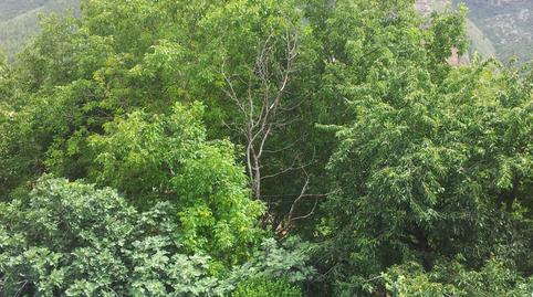 Foto 2 de Casa o xalet en venda a Islallana, Nalda, La Rioja