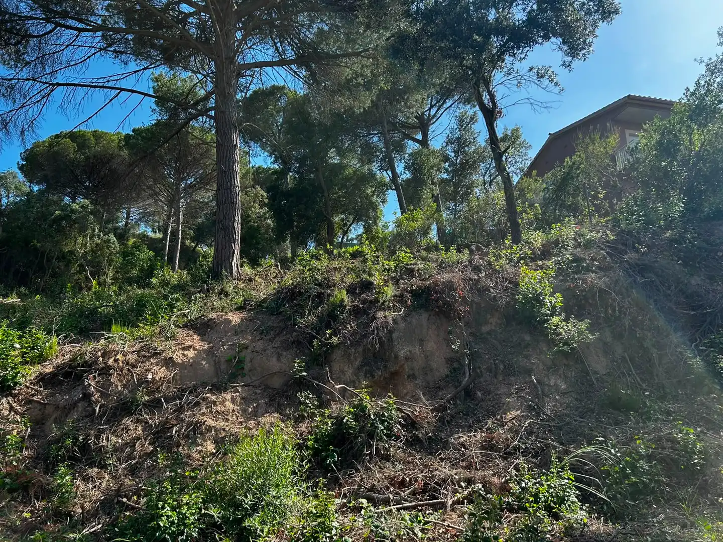 Wohnbaugrundstück zum Verkauf in Lloret Residencial - Montlloret, imagen 5