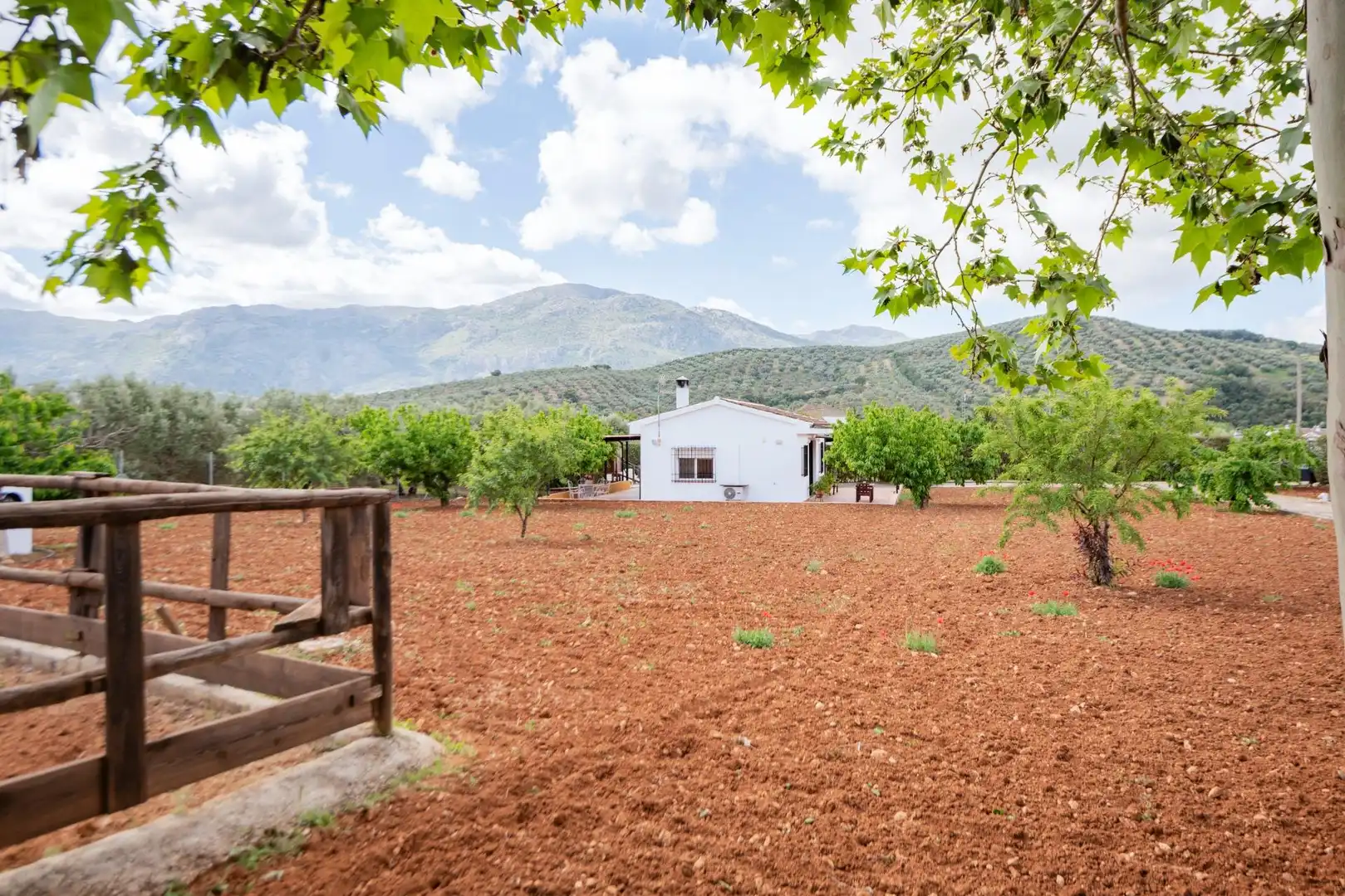 House with garden for sale in Villanueva del Rosario, imagen 8