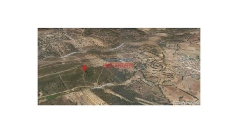 Finca de 7,5 ha. Ideal para recreo y caza en Fresnedoso de Ibor Cáceres