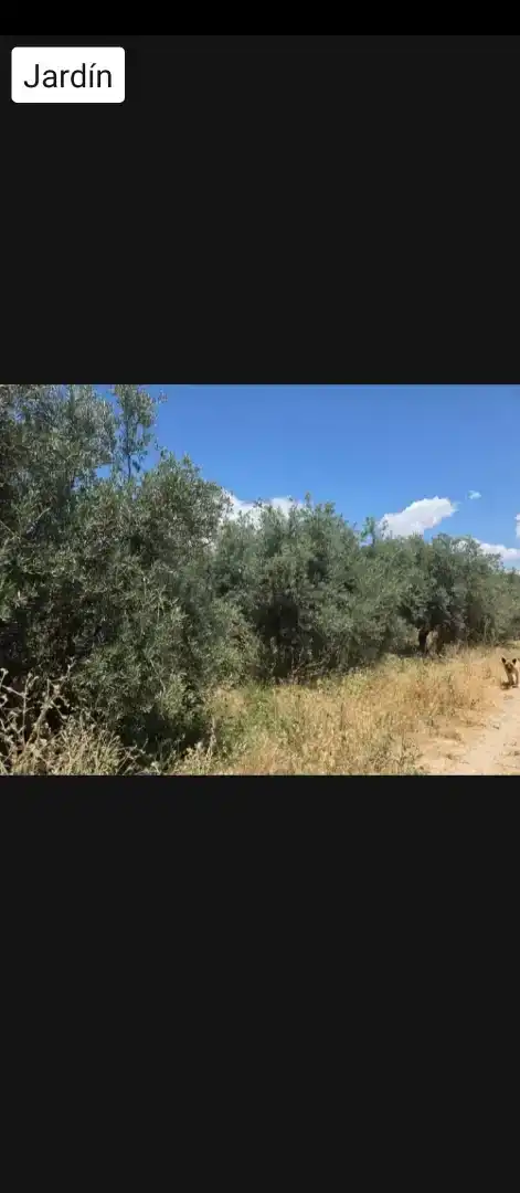 Finca rústica en venda en Santa Fe amb Aire condicionat