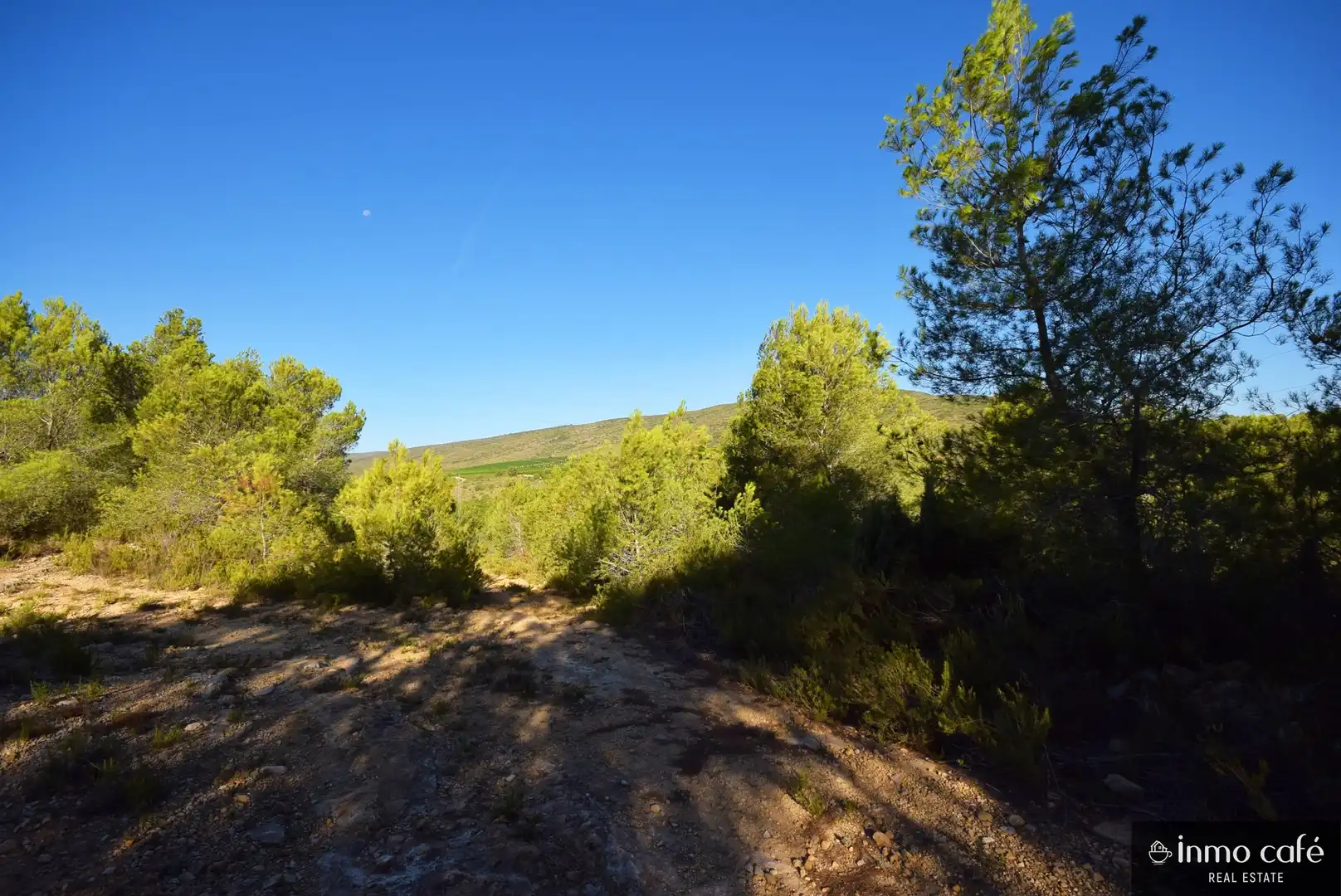 Terreny rústic en venda a L'Alcúdia de Crespins, imagen 23