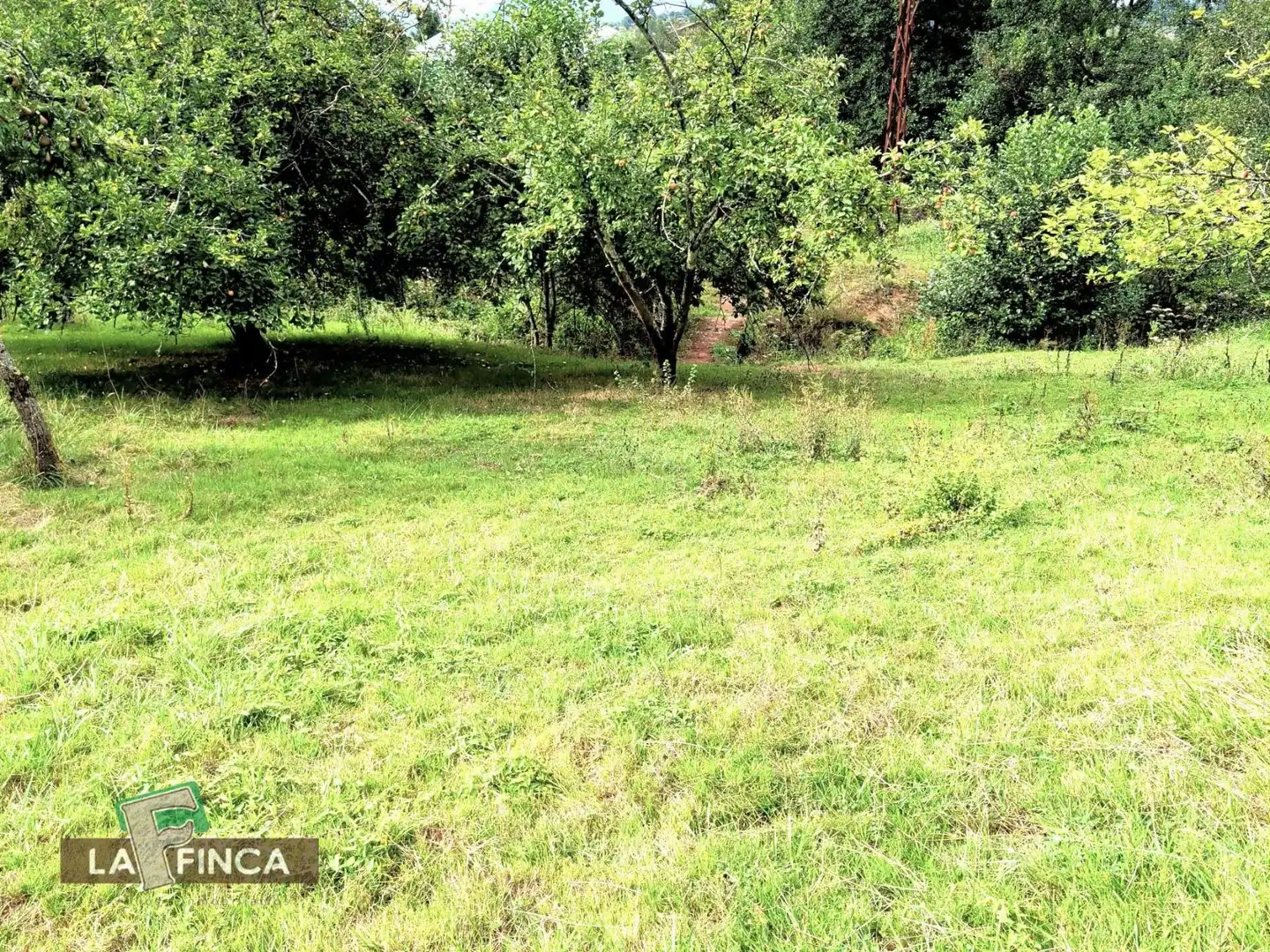 Casa o xalet en venda en Siero amb Calefacció, Parquet i Terrassa