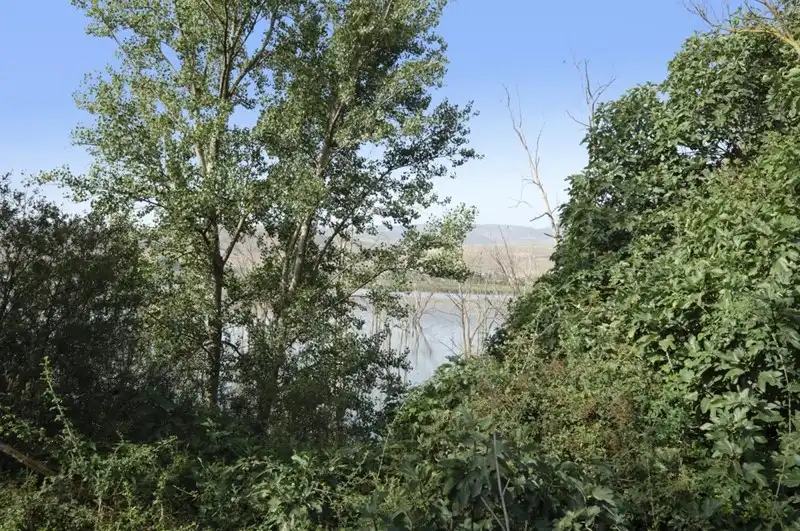 Terreni e lotti in vendita a Padul, imagen 21