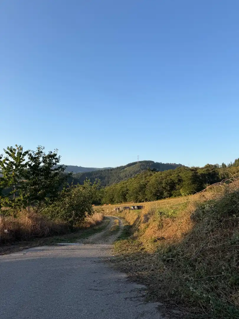 Rural land for sale in Tineo, imagen 13