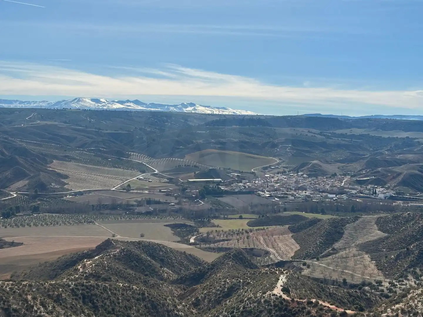 Logement à vendre à Alamedilla