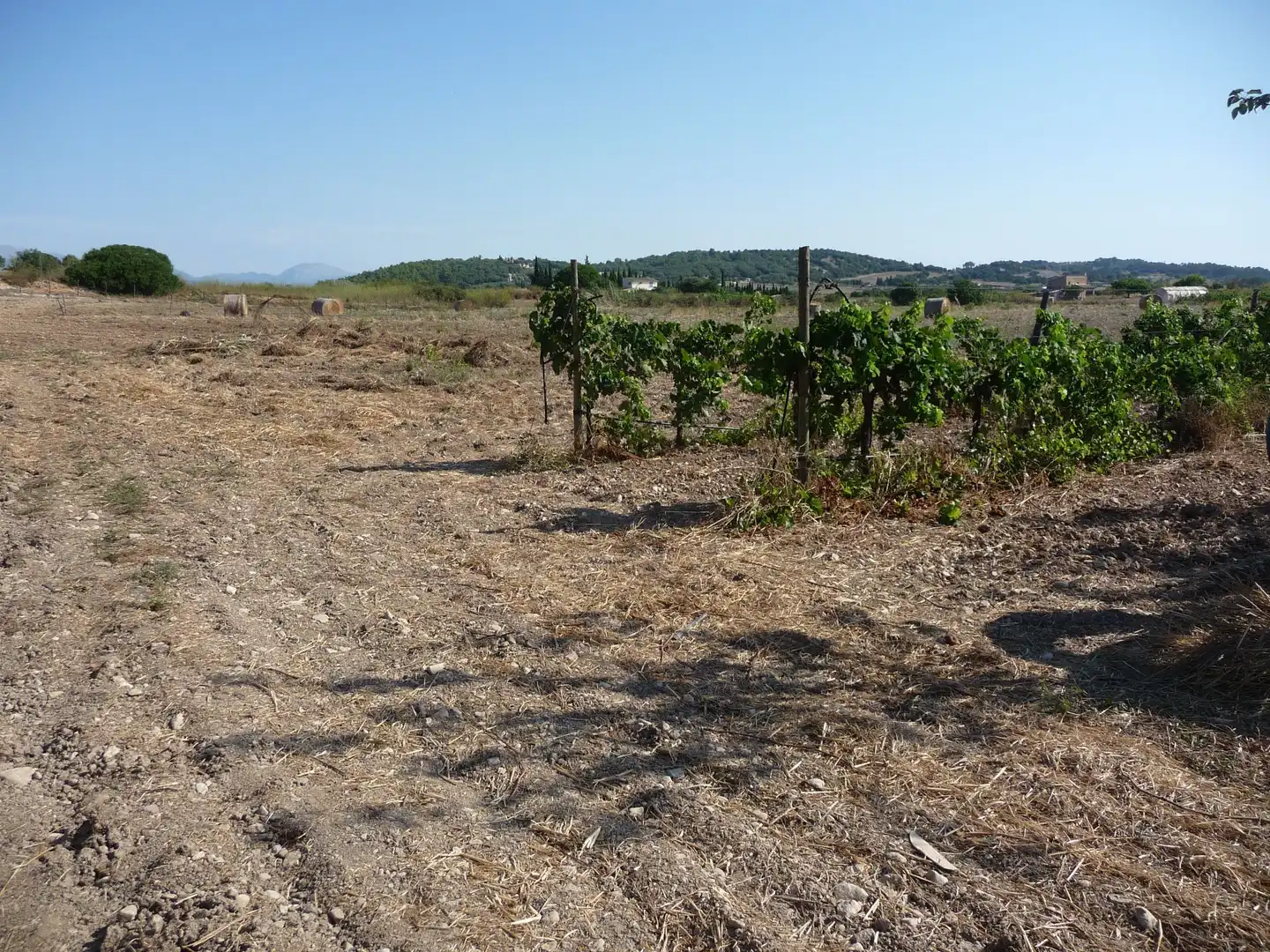 Terreno rustico in vendita a Algaida, imagen 17