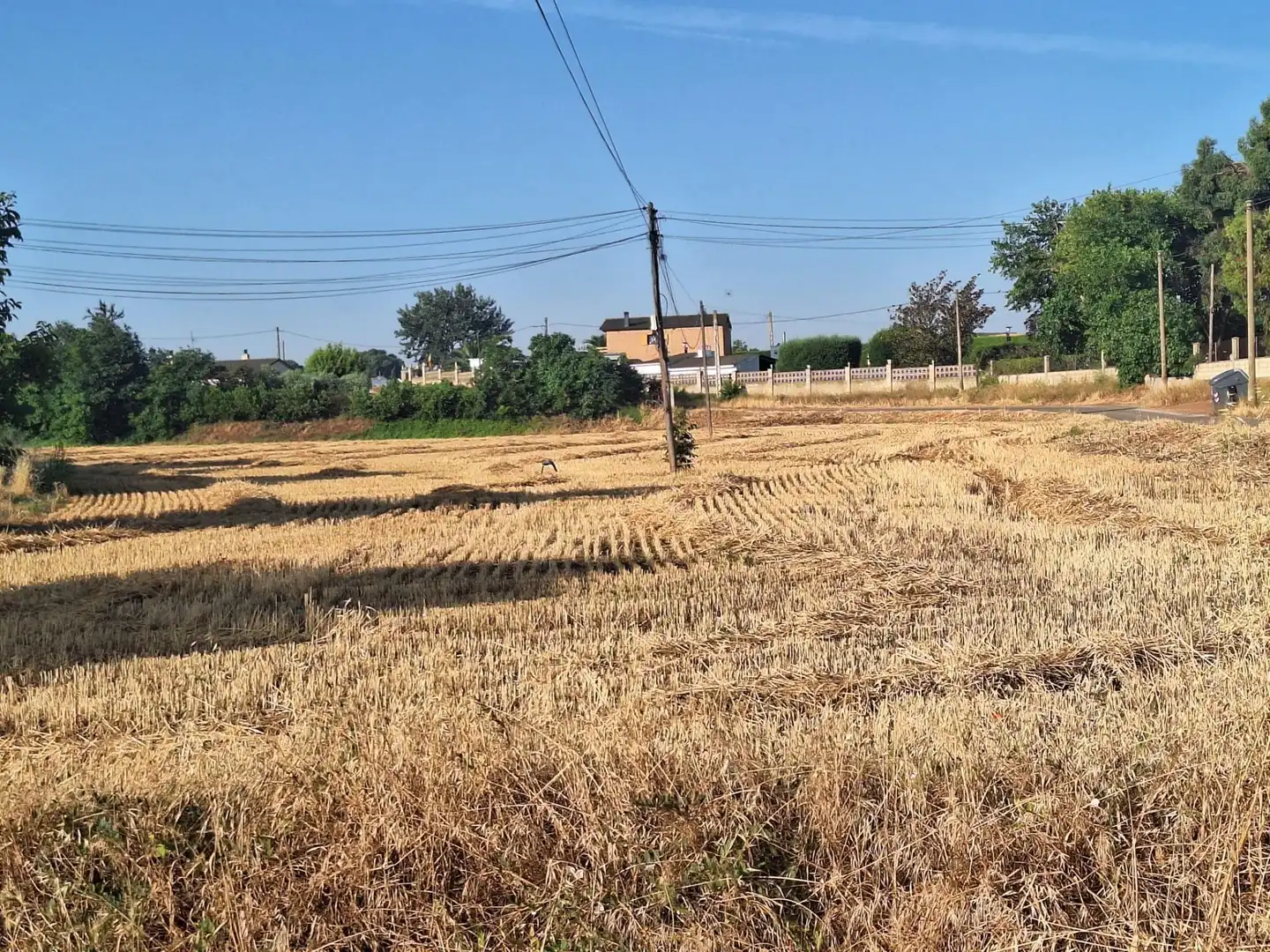Terreni e lotti in vendita a Polígono Polígono 170, imagen 6