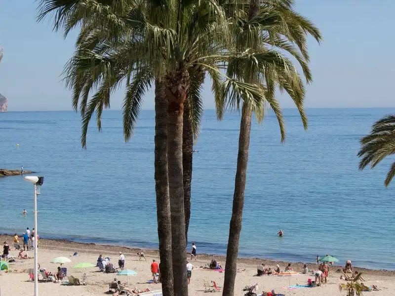 Apartamento con piscina en venta en Zona Levante - Playa Fossa, imagen 11