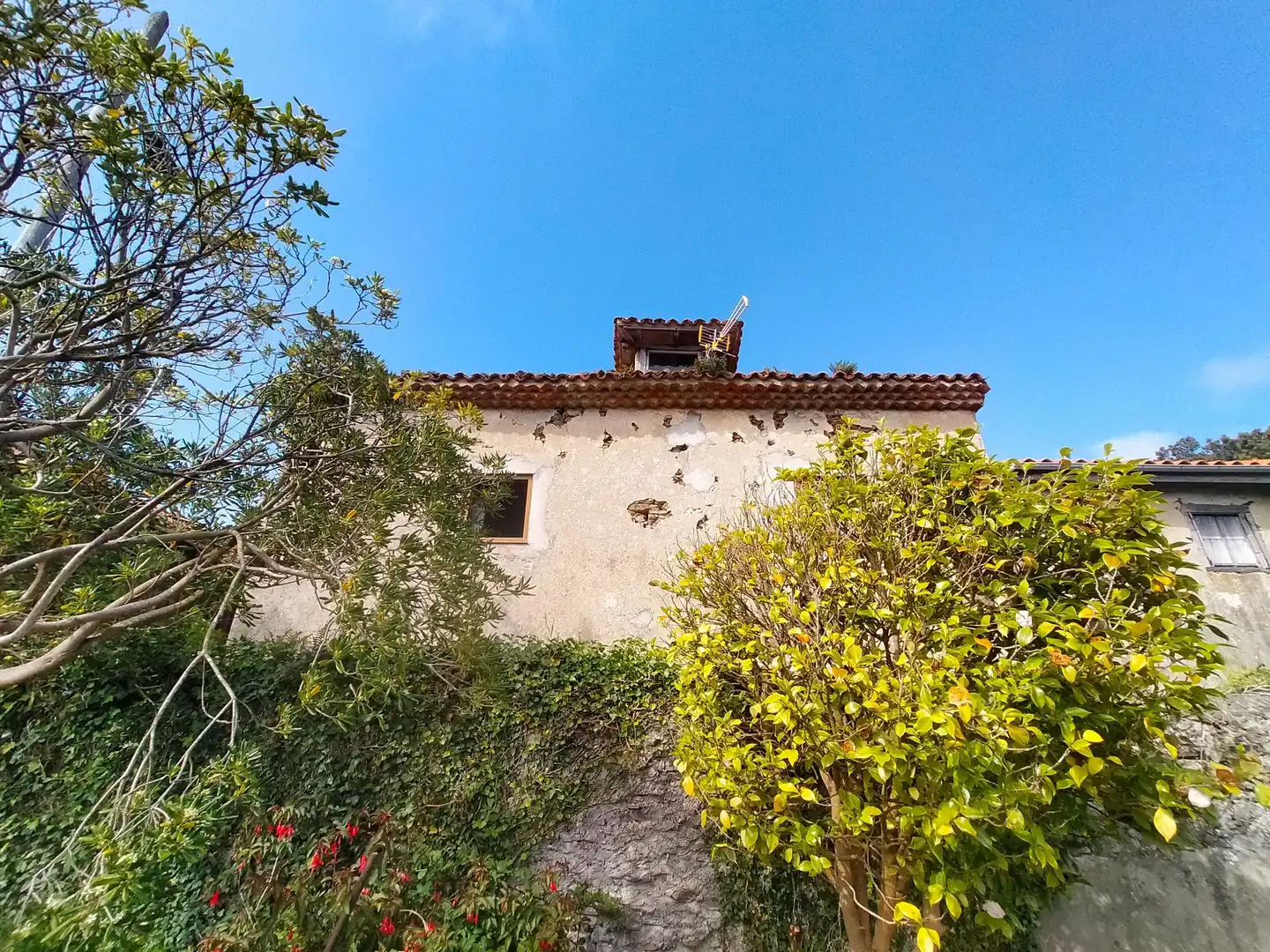 Vista exterior de Finca rústica en venda en Cudillero amb Jardí privat, Terrassa i Traster