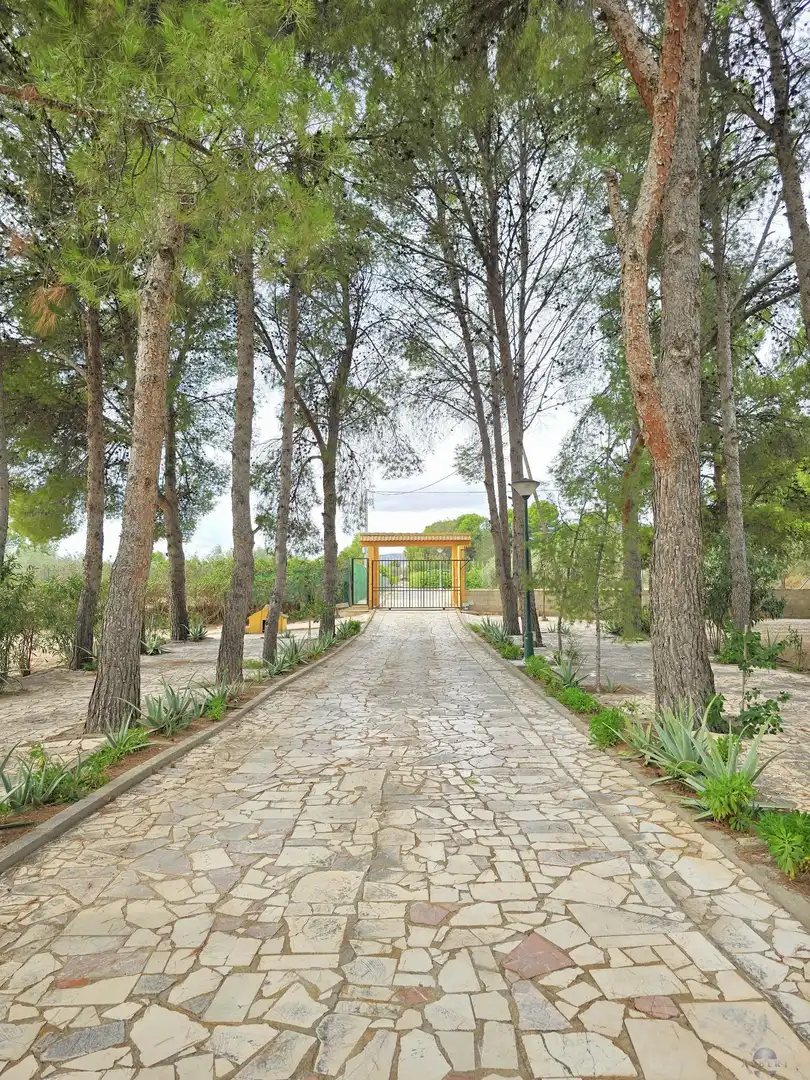Villa in vendita a Campo Alto - Club de Campo, imagen 13