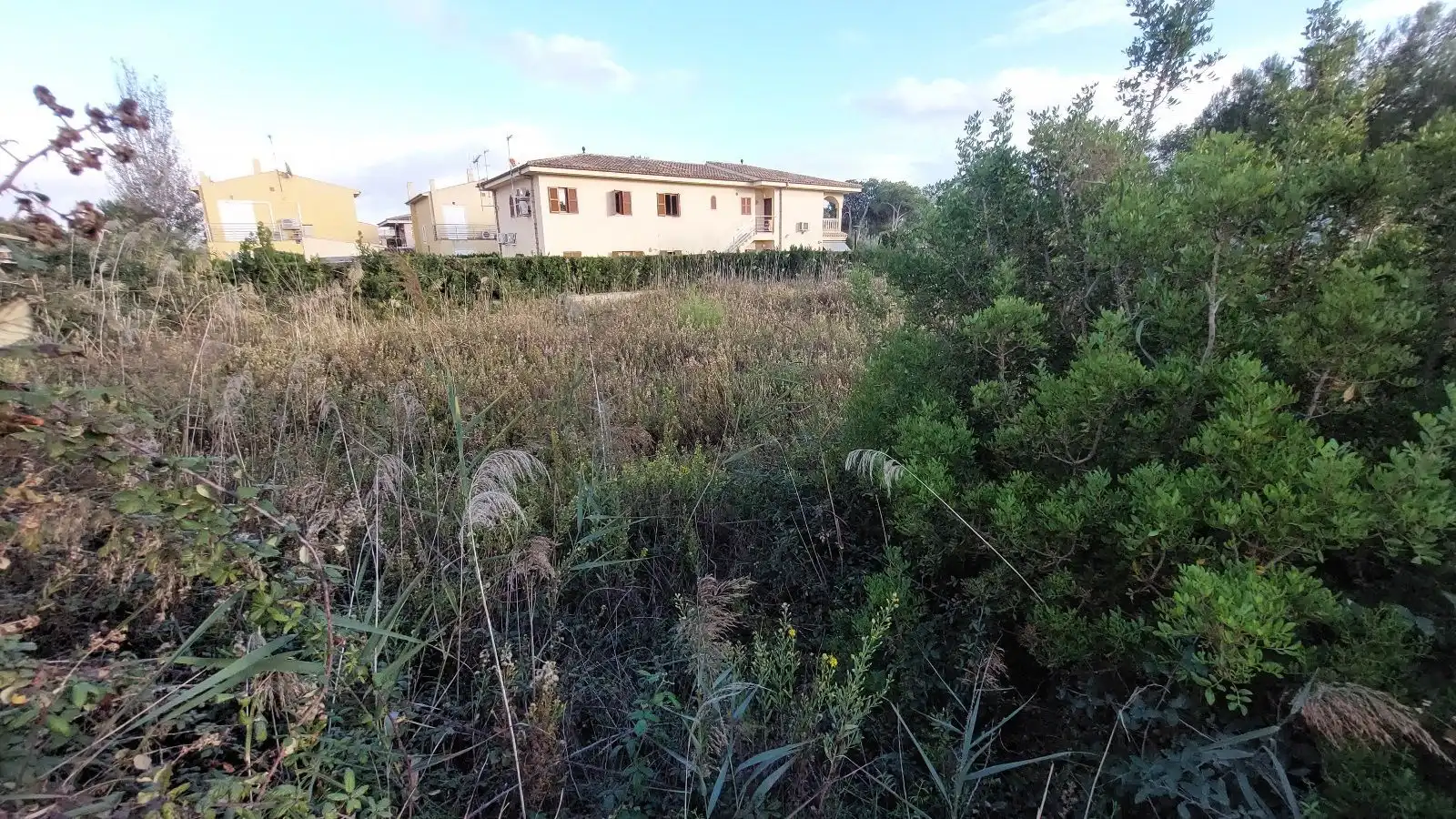 Terreny residencial en venda a Port d'Alcúdia - Platja d'Alcúdia, imagen 3