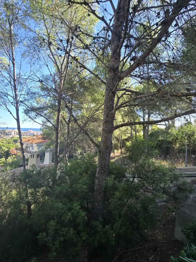 Residencial en venda en Oropesa del Mar / Orpesa