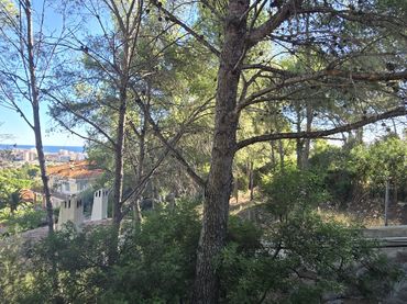 Terreno residencial en venta en Avenida Barcelona 6