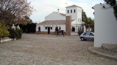 Photo 4 of Country homes for sale in Marchena, Sevilla