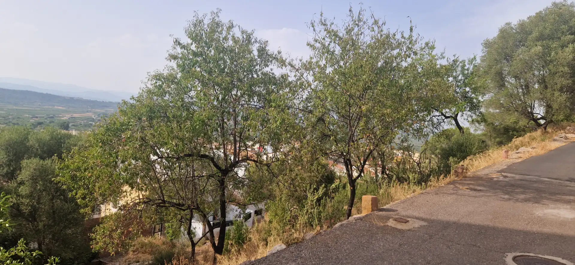 Residencial en venda en Vilafamés