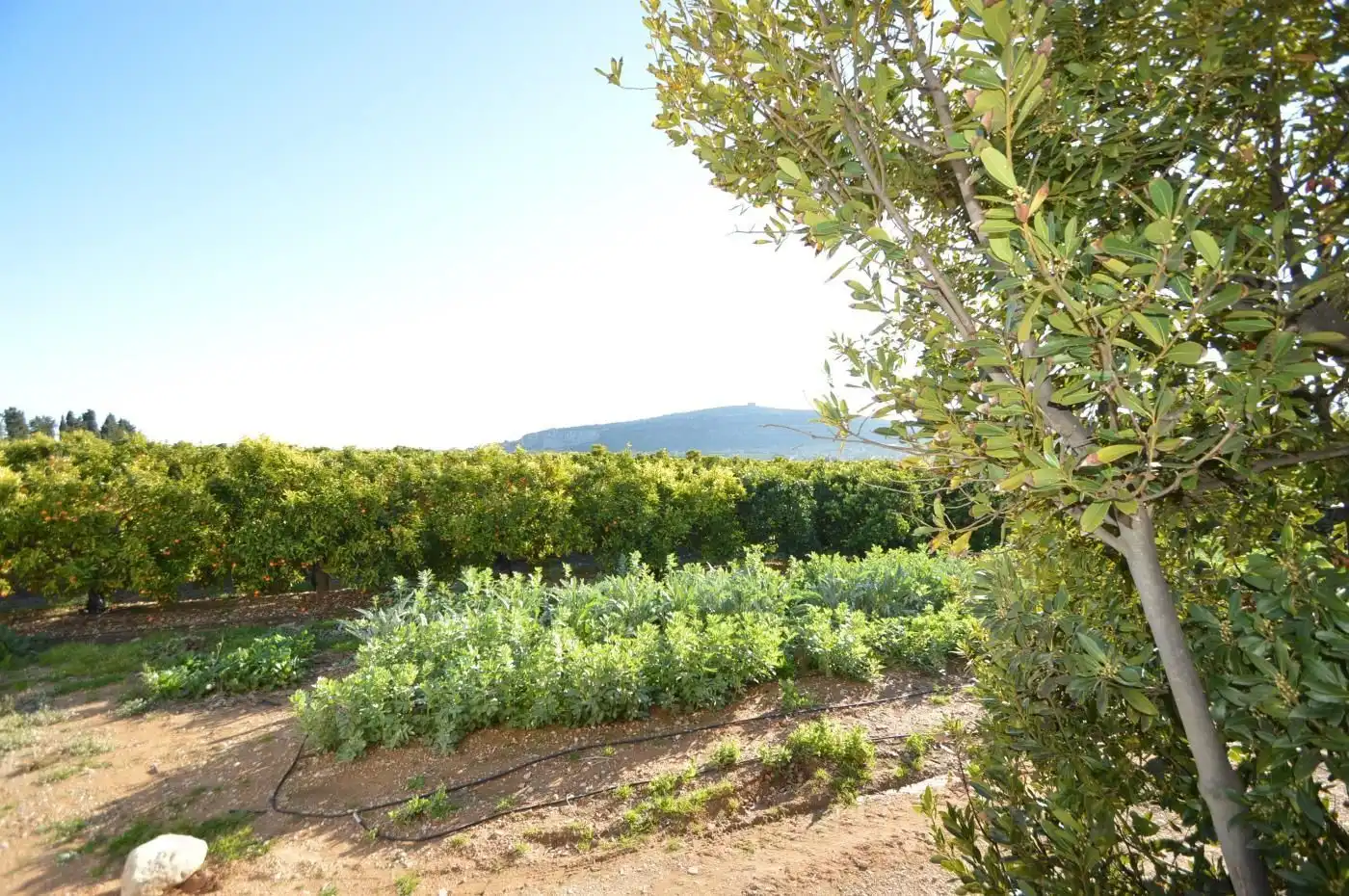 Casa o chalet en venta en Benicarló con Aire acondicionado, Calefacción y Jardín privado