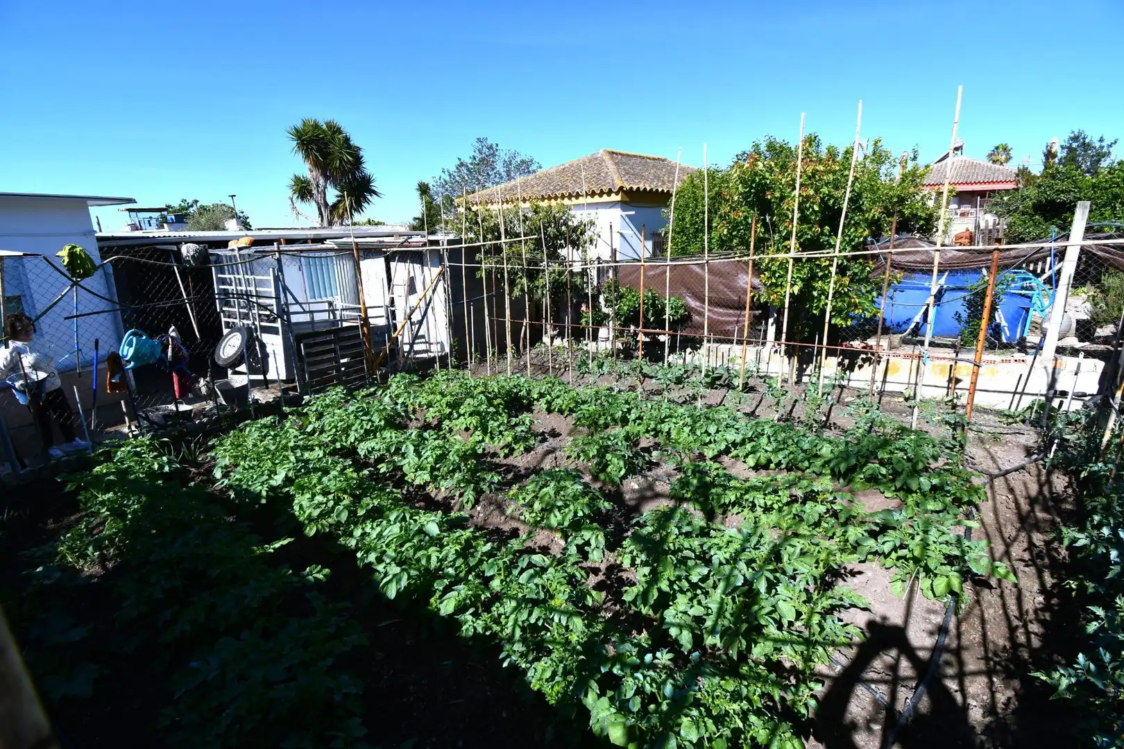 Garden of Country homes for sale in Jerez de la Frontera  with Swimming Pool and Furnished