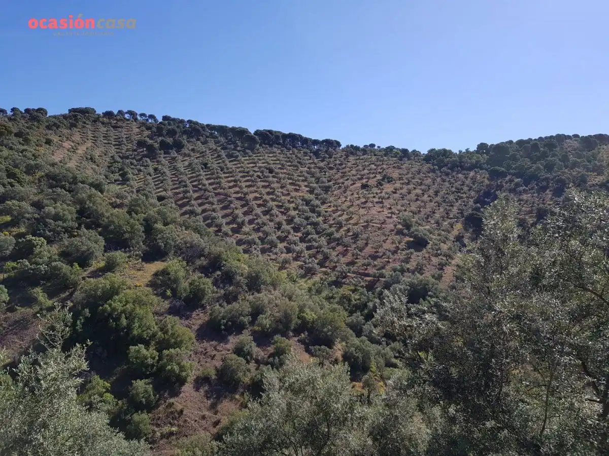 Finca rústica en venta en Villanueva de Córdoba con Jardín privado, Trastero y Amueblado