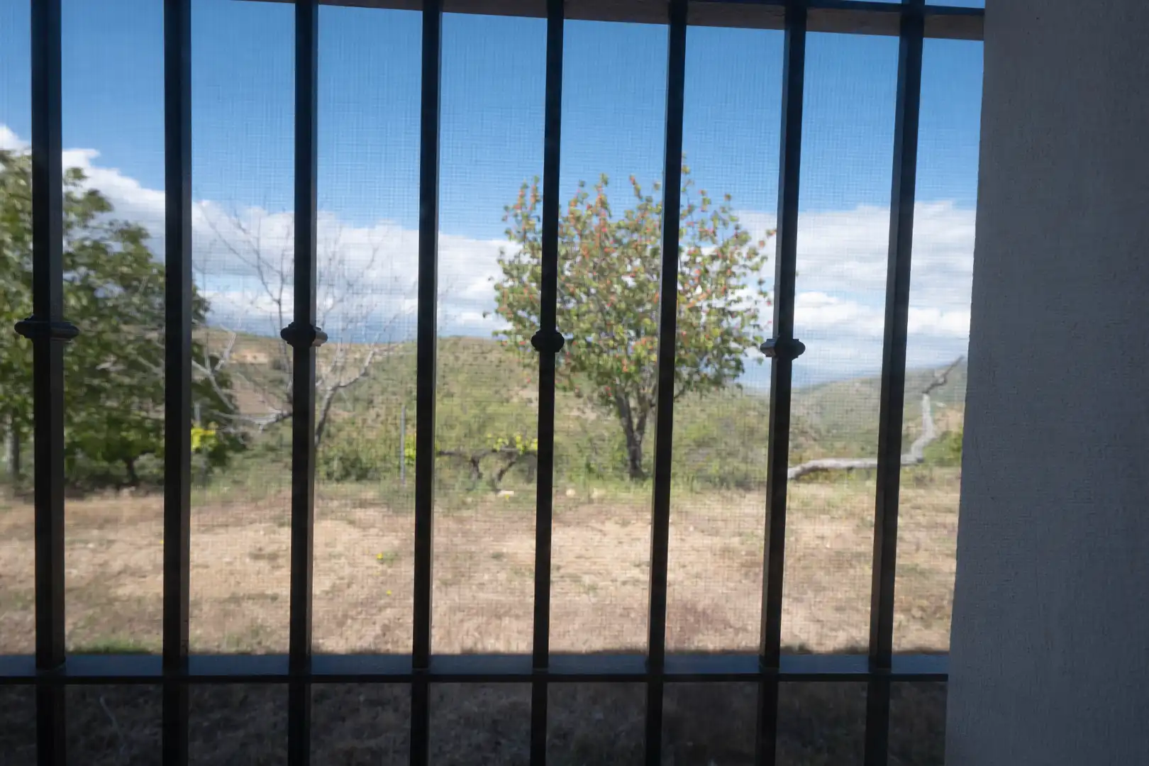 Casa o xalet en venda en Murtas amb Jardí privat, Terrassa i Piscina