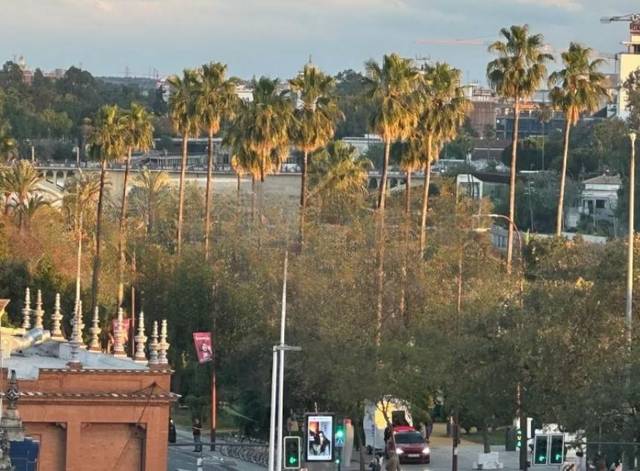 Piso en Alquiler en Arenal - Museo