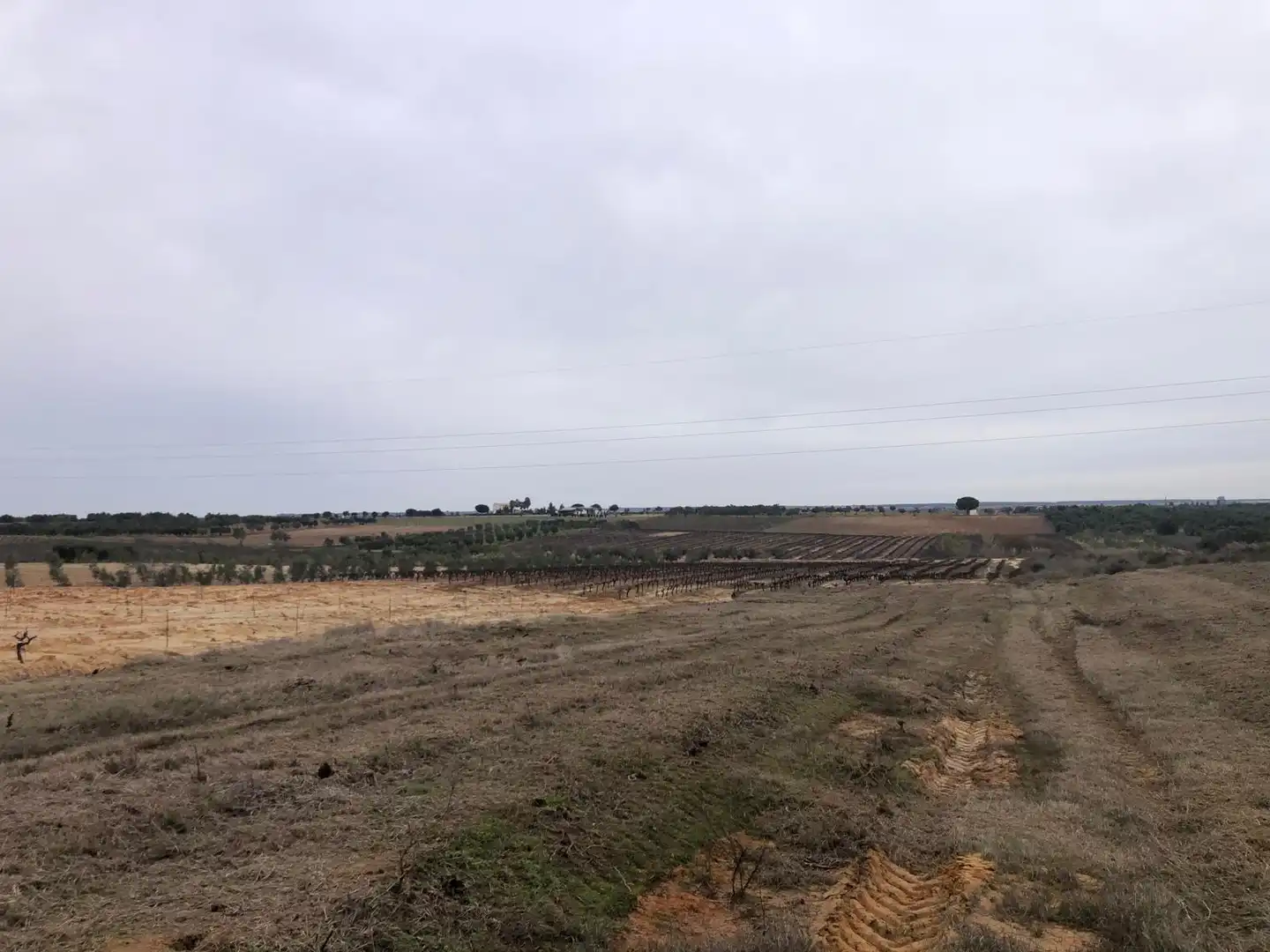 Terreny rústic en venda a CAMINO REMUÑINA, imagen 4