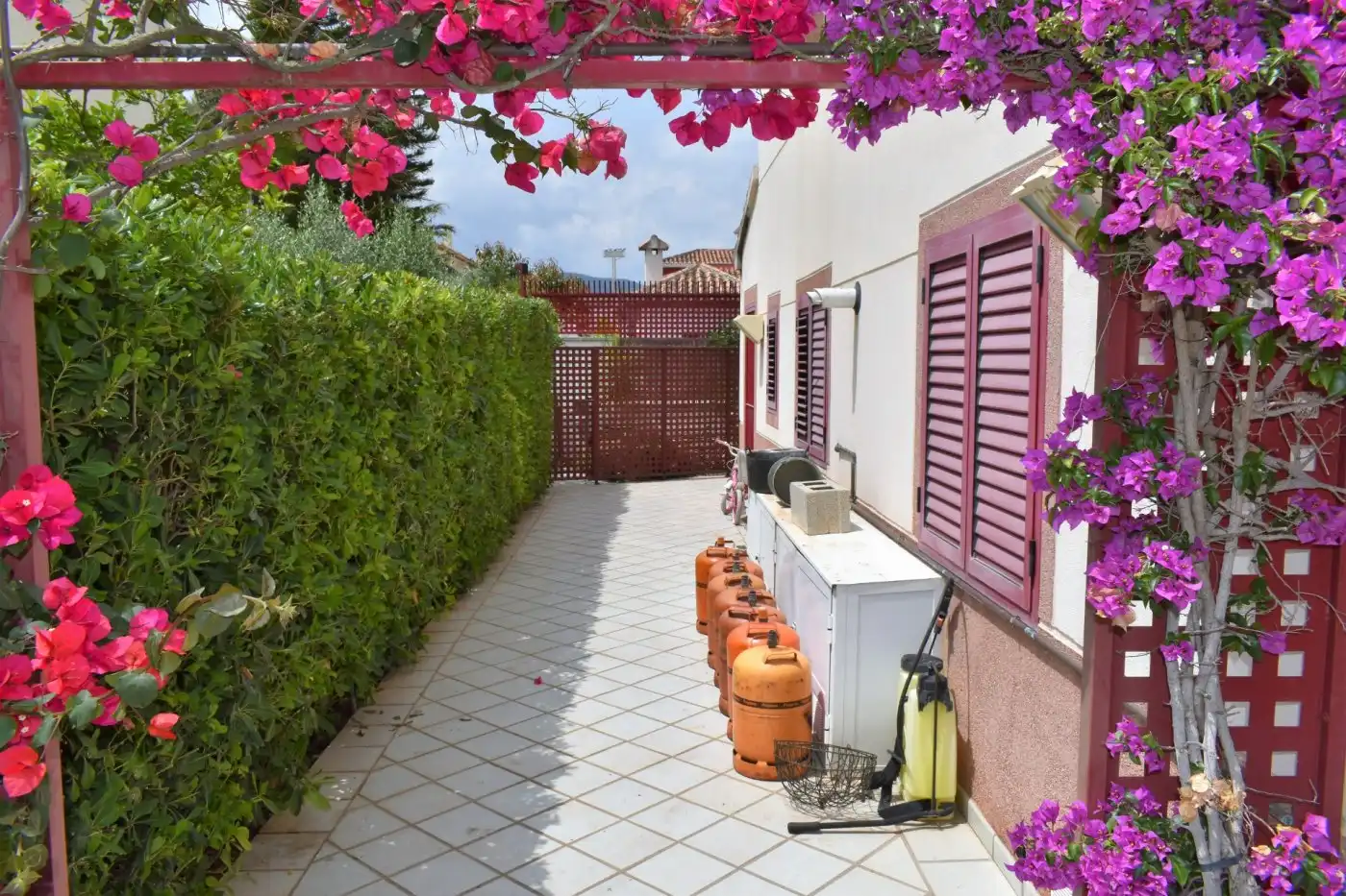 Houses for sale in Oliva pueblo