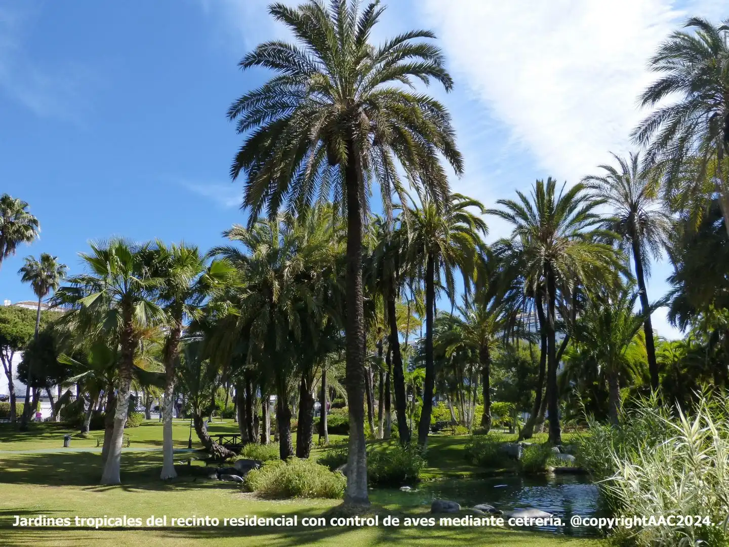 Pis amb piscina en venda a Avenida Playas del Duque, Nueva Andaluciía 29660 Marbella 3, imagen 9