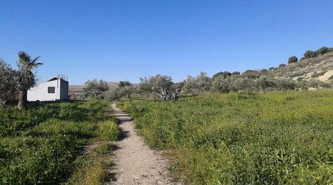 Foto 2 de Residencial en venta en Espera, Cádiz