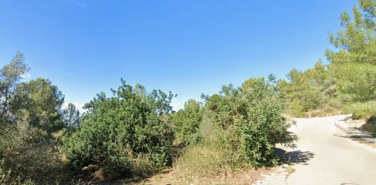 Rural land for sale in Pego, imagen 2