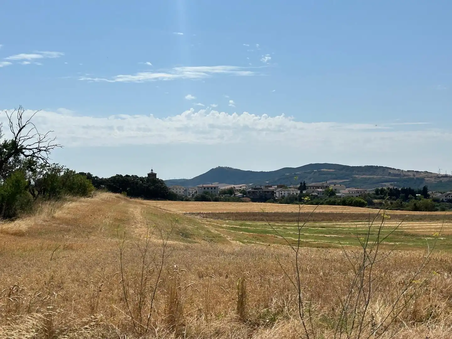 Terreny rústic en venda a 123 poligono 3, imagen 20