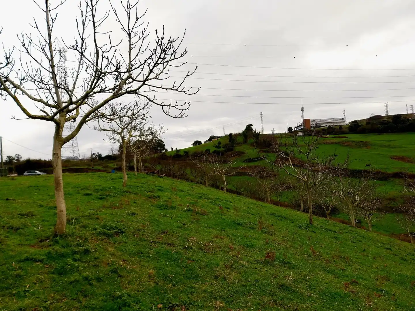 Rural land for sale in Zierbena, imagen 16