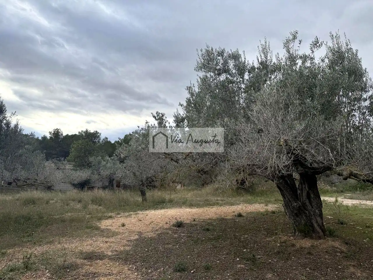 Grundstücke zum Verkauf in L'Ametlla de Mar 