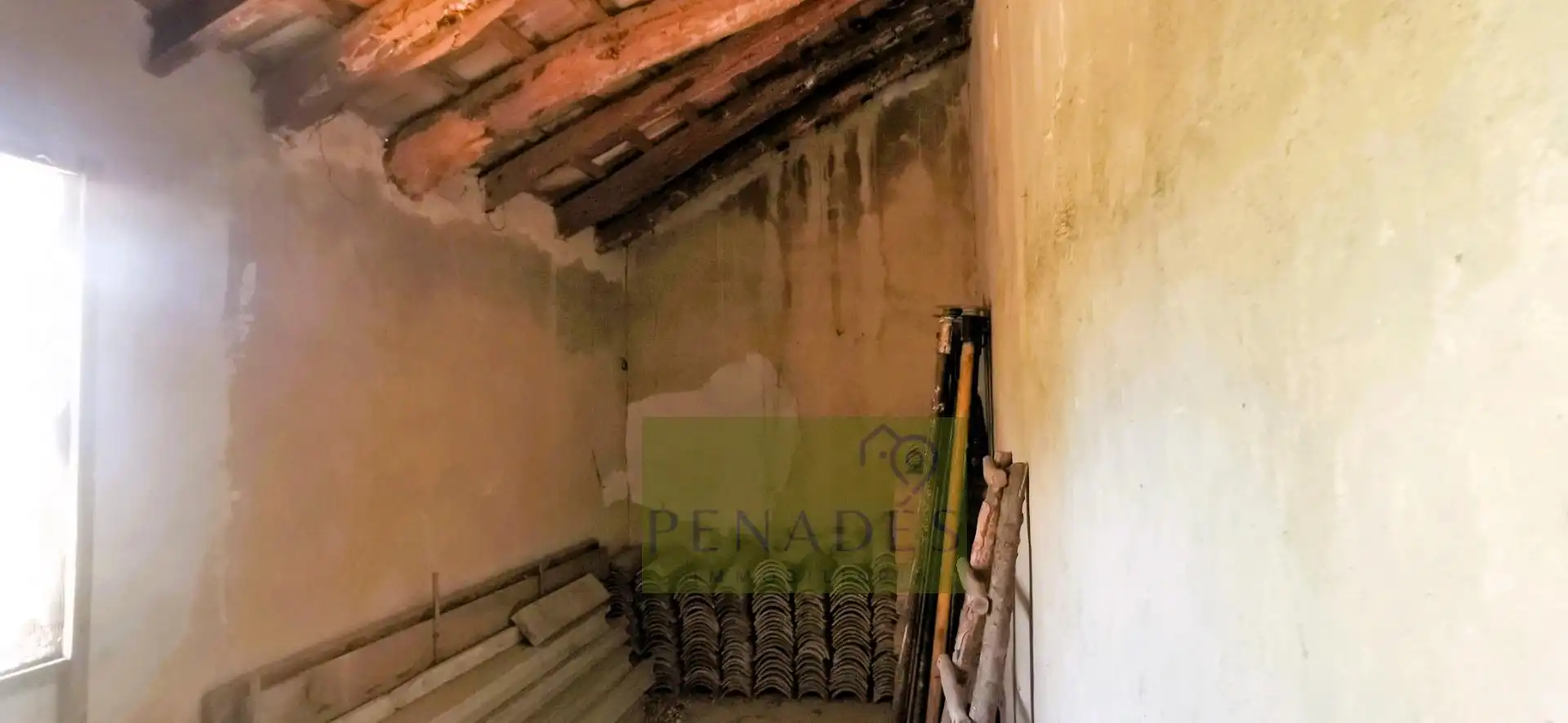 Terrain rustique à vendre à Centro, imagen 11