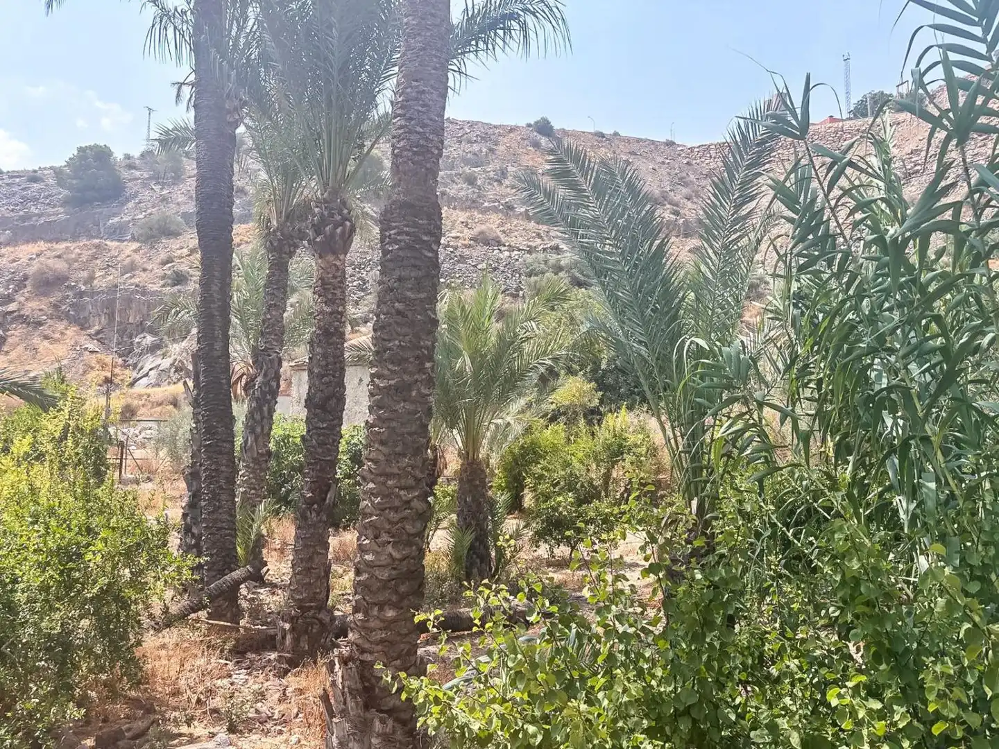 Xalet amb piscina en venda a Montepinar - La Aparecida - Raiguero, imagen 30