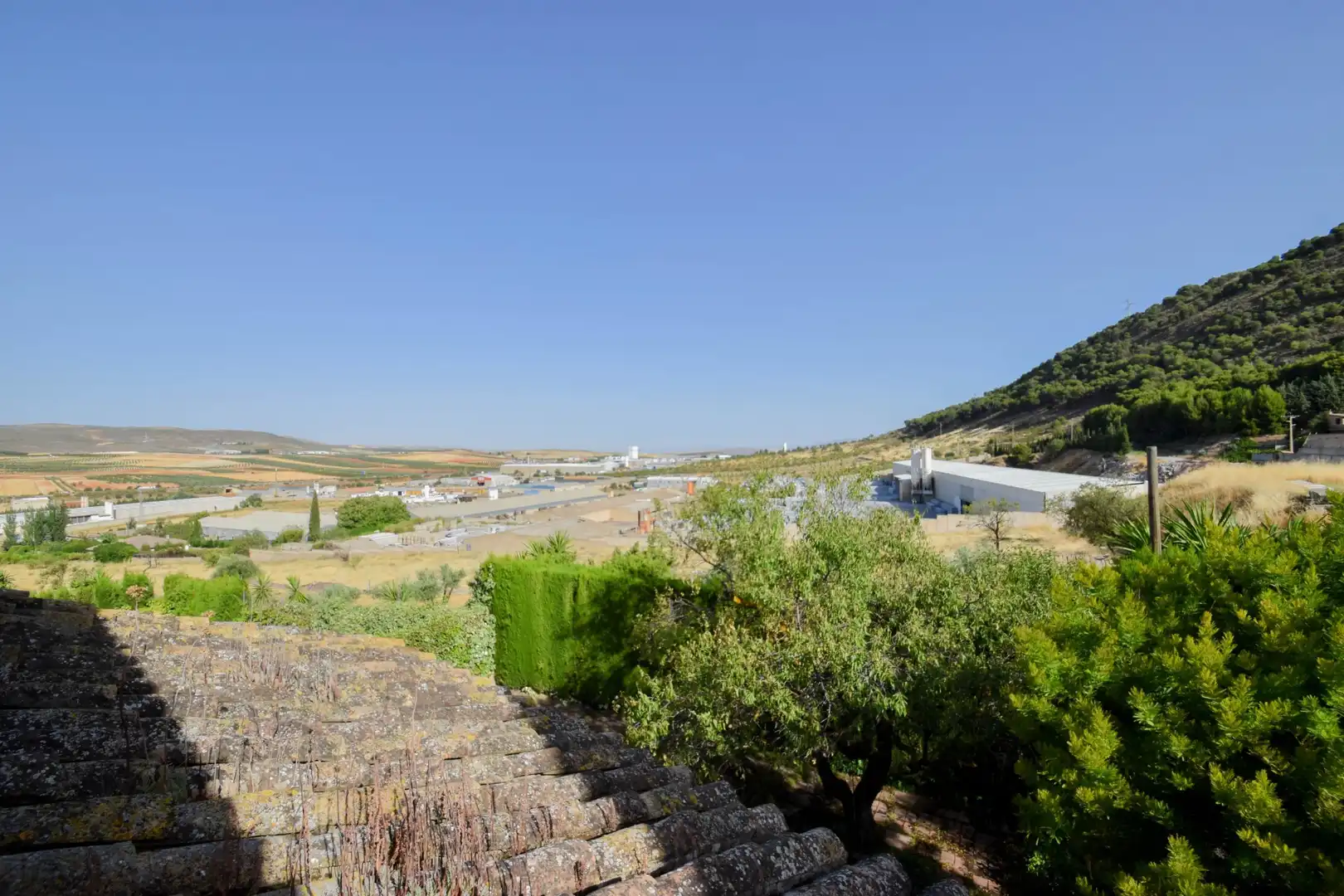 Garden of Houses for sale in Padul  with Terrace