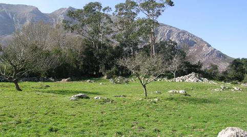 Photo 4 of Residential for sale in Calle Piedra, 41a, Posada - Barro, Asturias