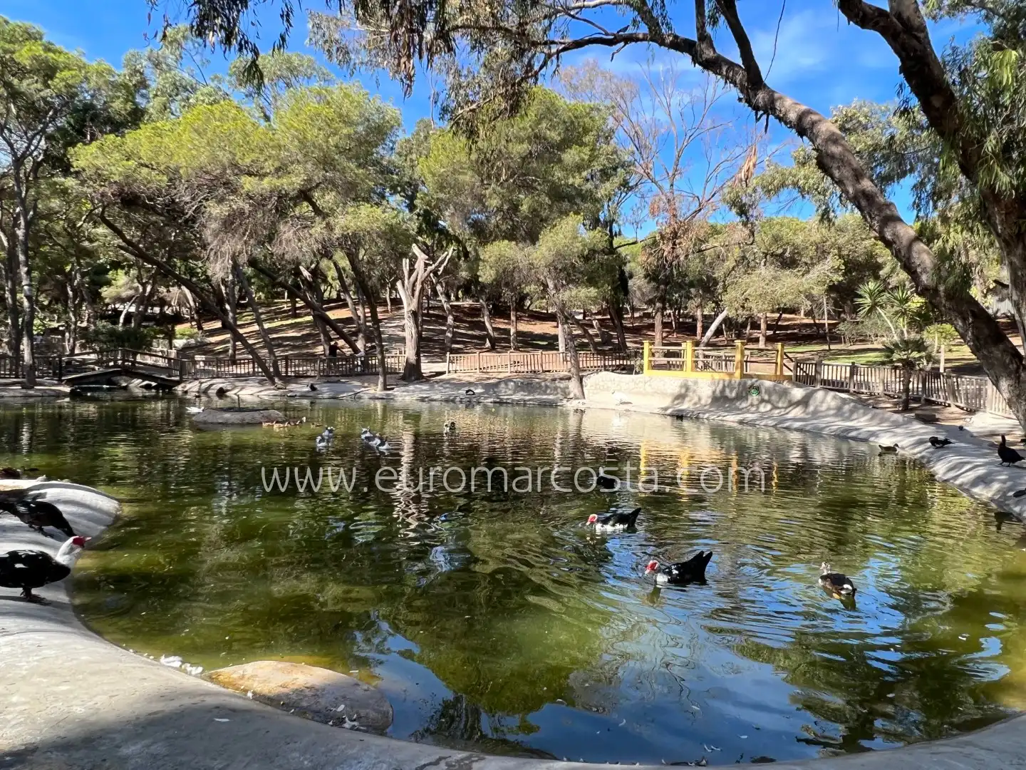 Casa pareada con piscina en venta en Carrer el Moll, imagen 55