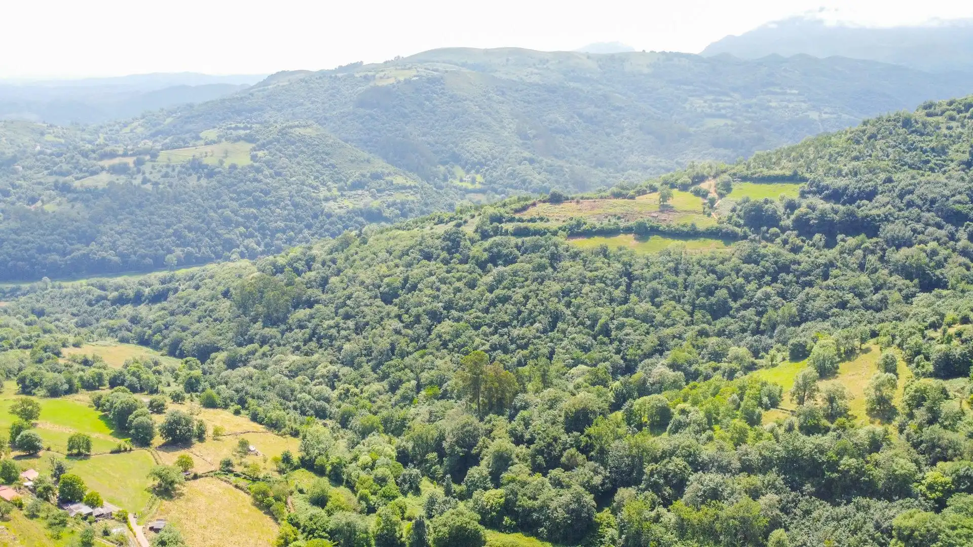 Terreno residenziale in vendita a Carretera de Las Cuestas a Sama de Grado, imagen 30