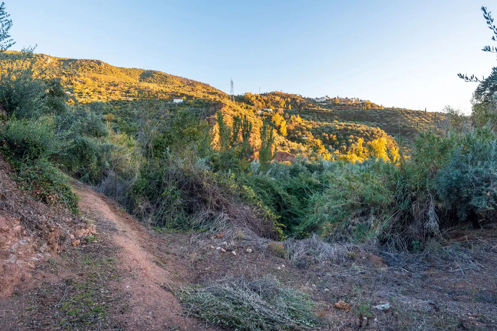 Casa o xalet en venda en Cogollos de la Vega