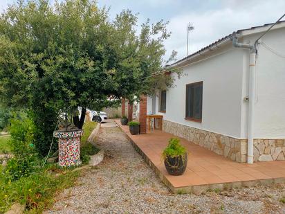 Vista exterior de Casa o xalet en venda en Riudarenes amb Piscina