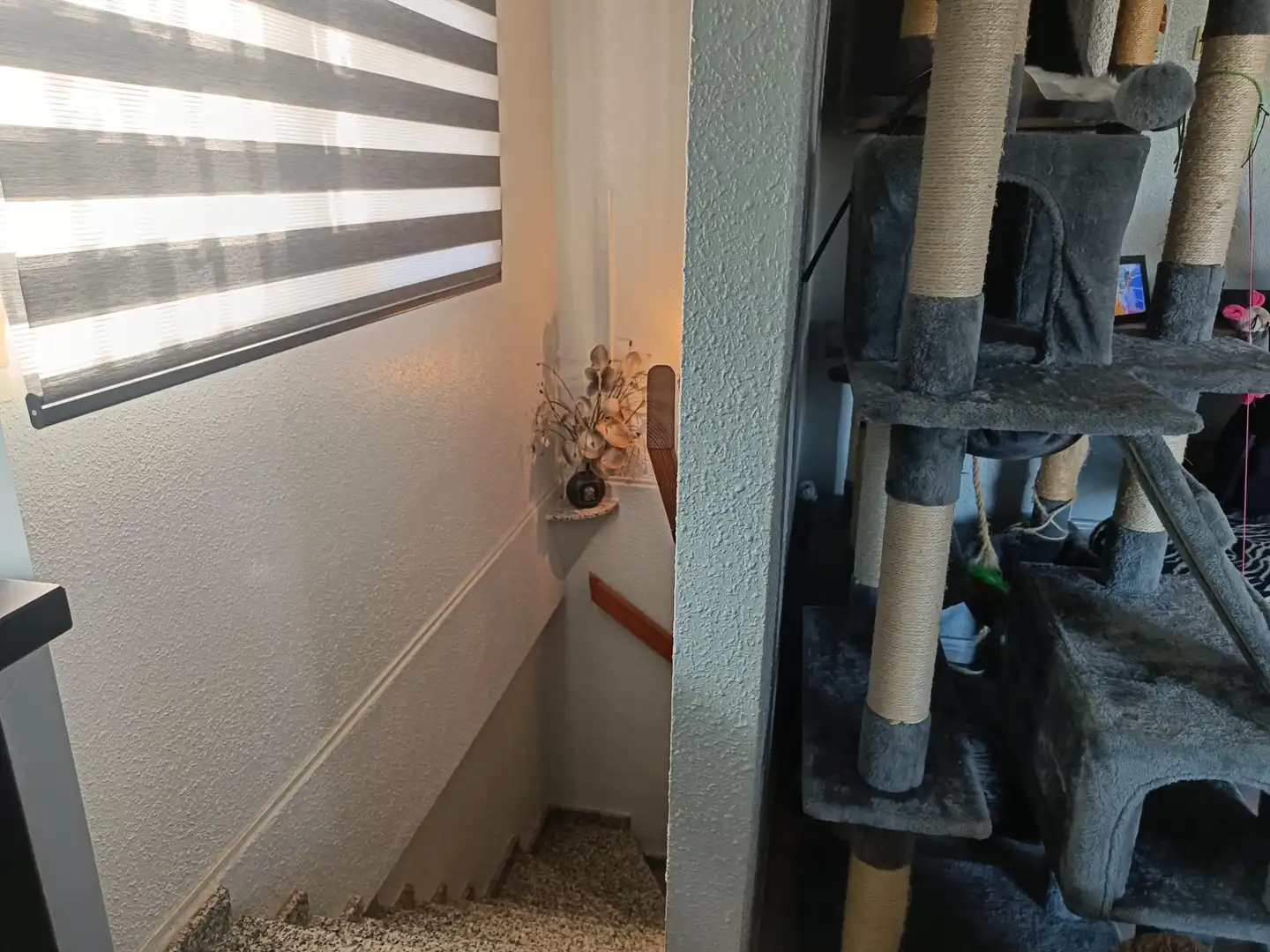 Casa o xalet en venda en Benijófar amb Aire condicionat, Calefacció i Jardí privat