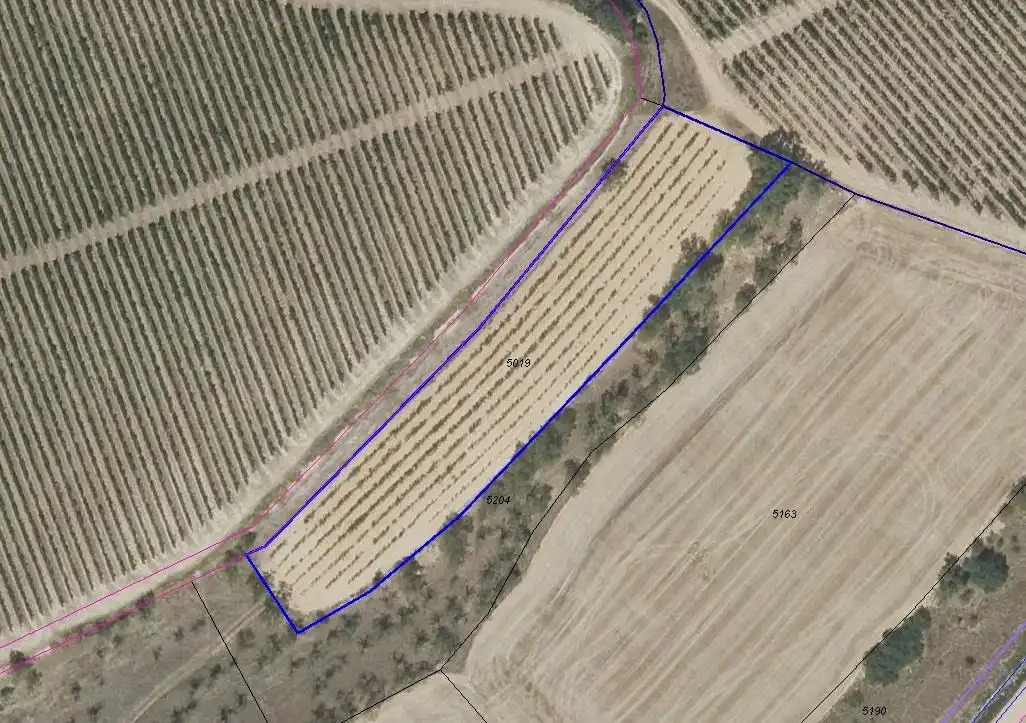 Lands and plots for sale in San Torcuato