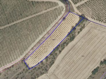 Terreno rustico in vendita a San Torcuato