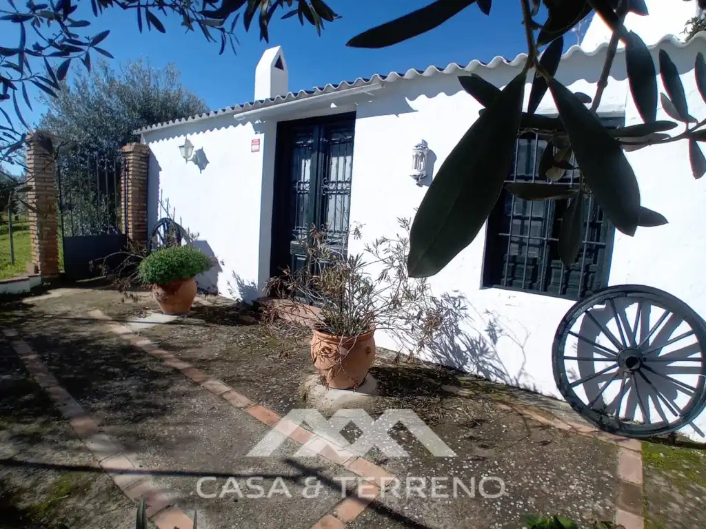 Vista exterior de Casa o xalet en venda en Alozaina amb Piscina