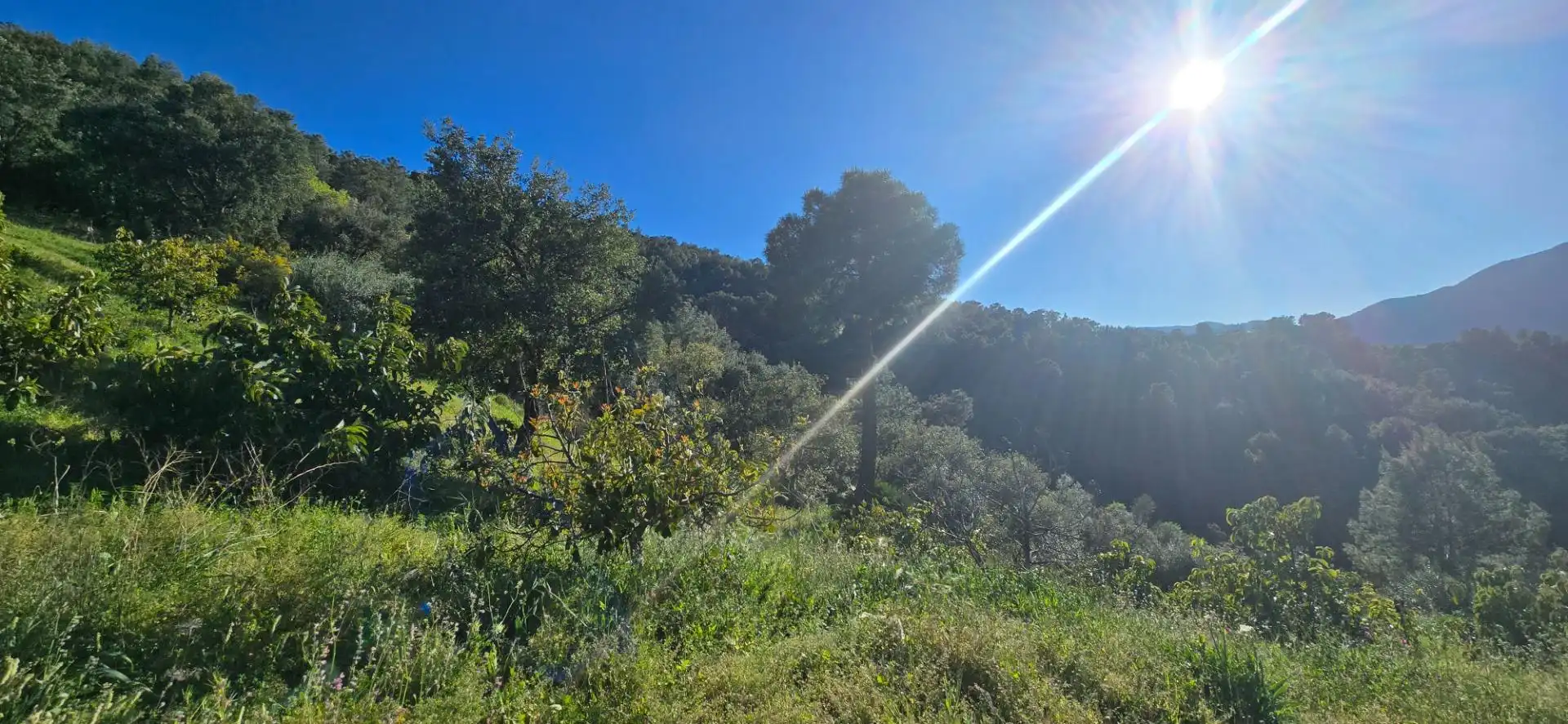 Terreno residenziale in vendita a Camino DISEMINADOS, imagen 15