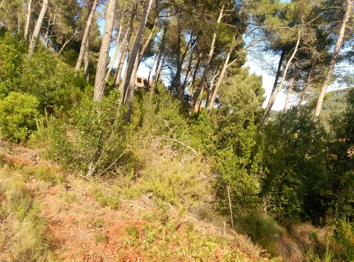 Terreni e lotti in vendita a Corbera de Llobregat, imagen 28
