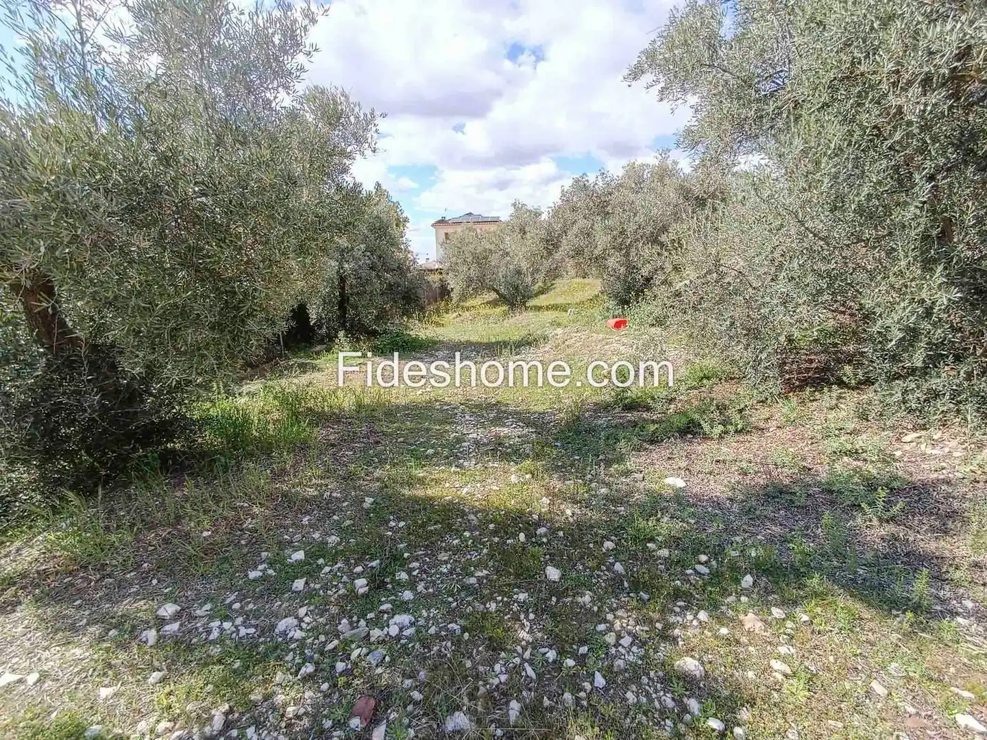 Rural land for sale in Calle Gabriel Garcia Marquez 9, imagen 10