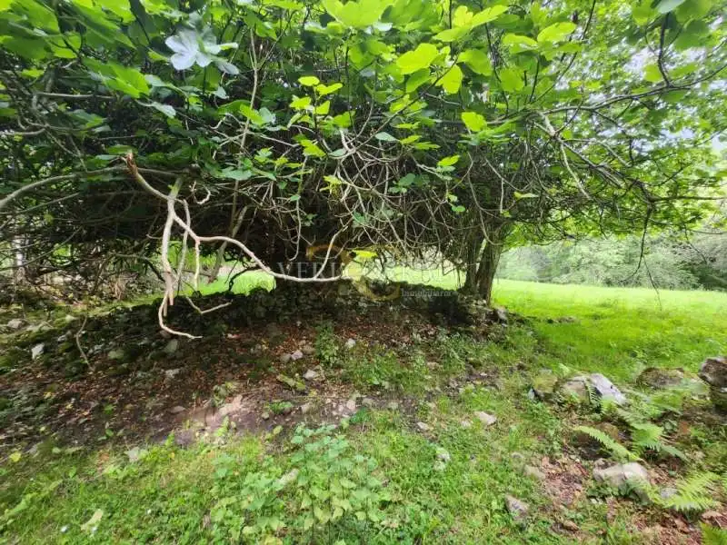 Wohnbaugrundstück zum Verkauf in Parres, imagen 17
