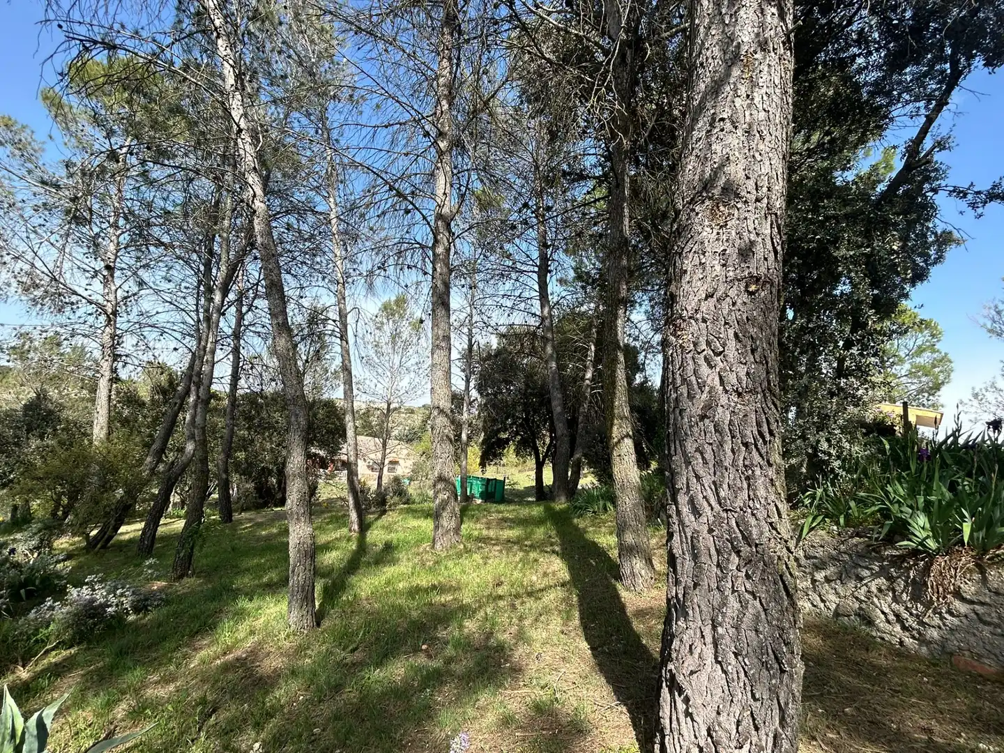 Finca rústica en venta en Almoguera con Jardín privado y Piscina